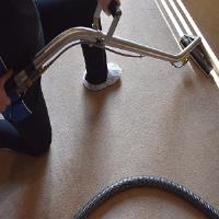 Carpet Cleaning Division of We Move and Clean image 4